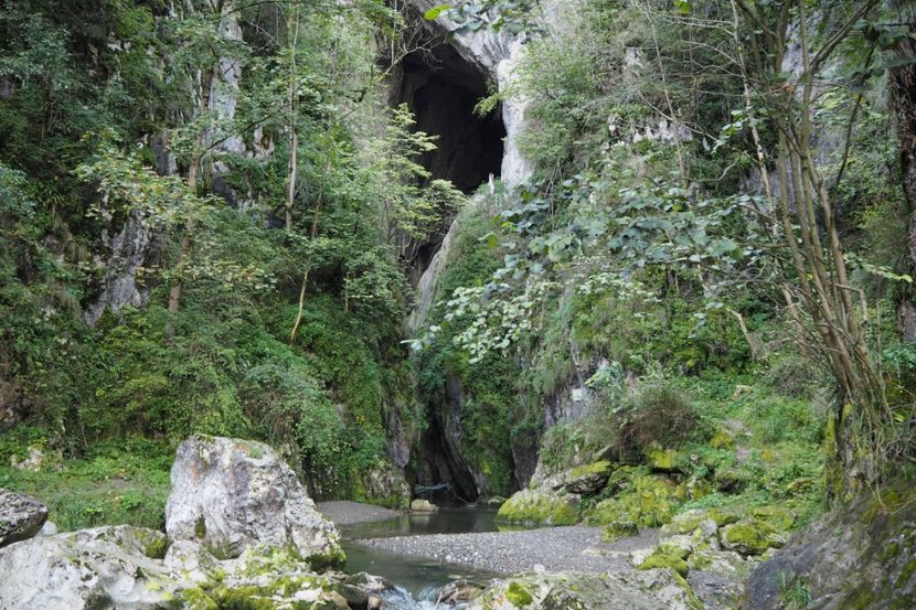 P9090342 - 2018_09_09