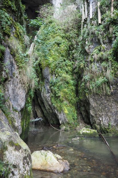 P9090346 - 2018_09_09