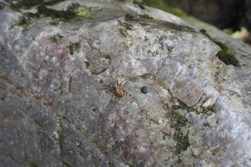 P9090347 - 2018_09_09