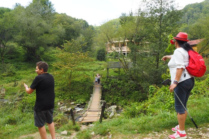 P9090352 - 2018_09_09