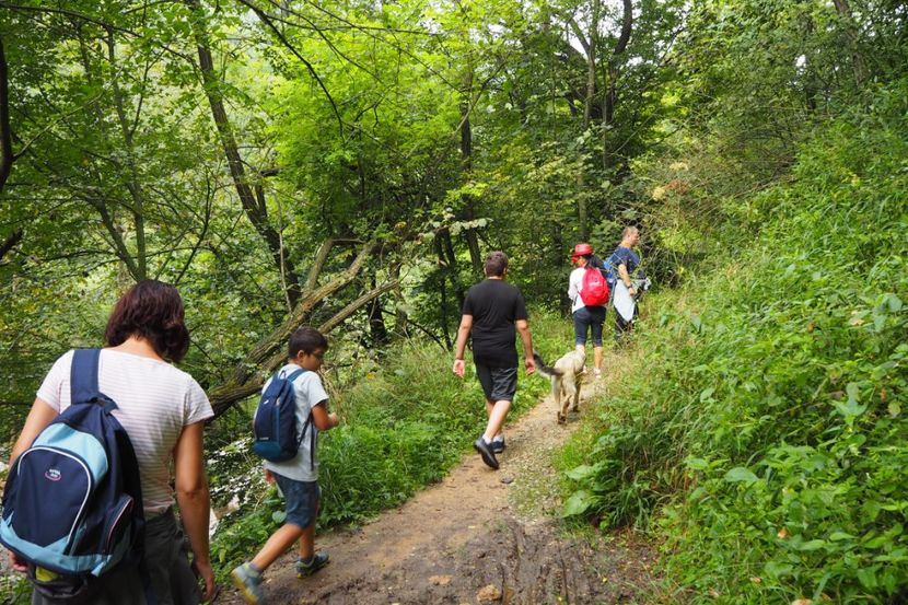 P9090359 - 2018_09_09