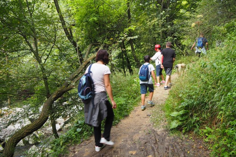 P9090360 - 2018_09_09