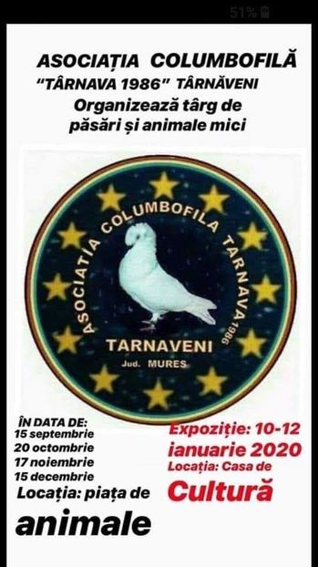  - T--TARGURI SI EXPOZITII