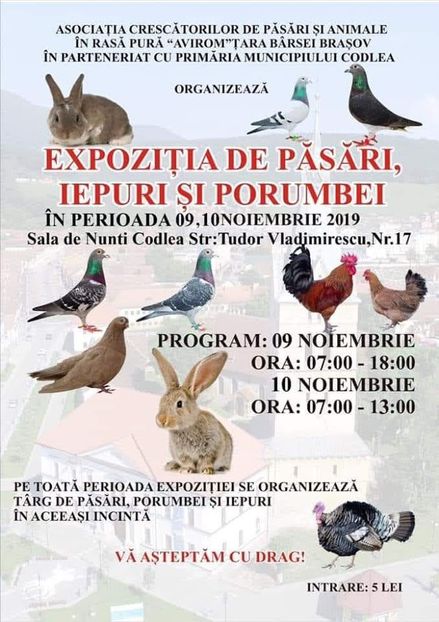  - T--TARGURI SI EXPOZITII