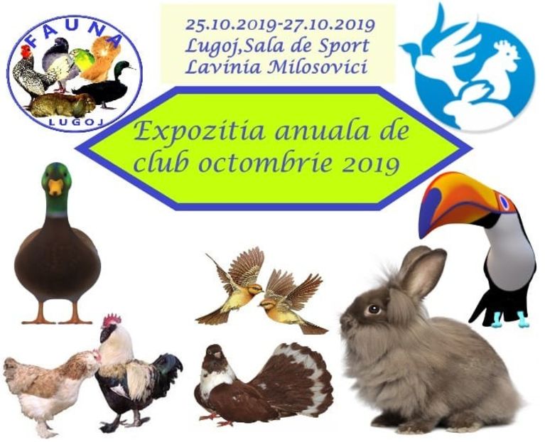  - T--TARGURI SI EXPOZITII