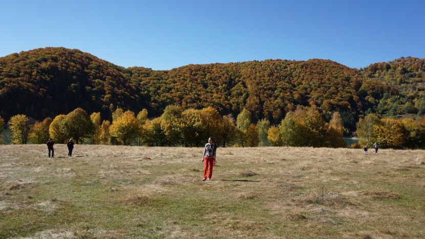  - 2018 14 octombrie 2018 baraj paltinu