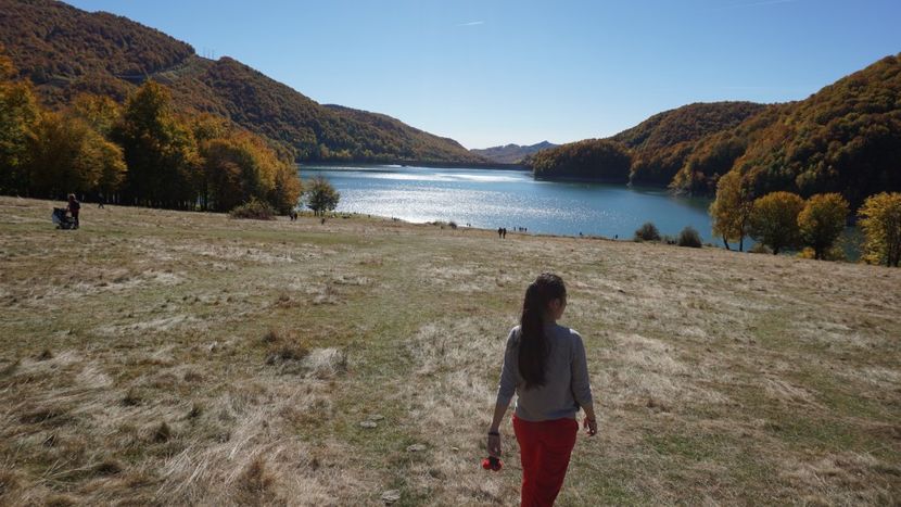  - 2018 14 octombrie 2018 baraj paltinu