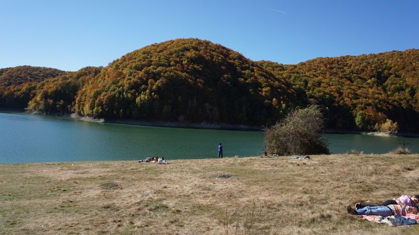  - 2018 14 octombrie 2018 baraj paltinu