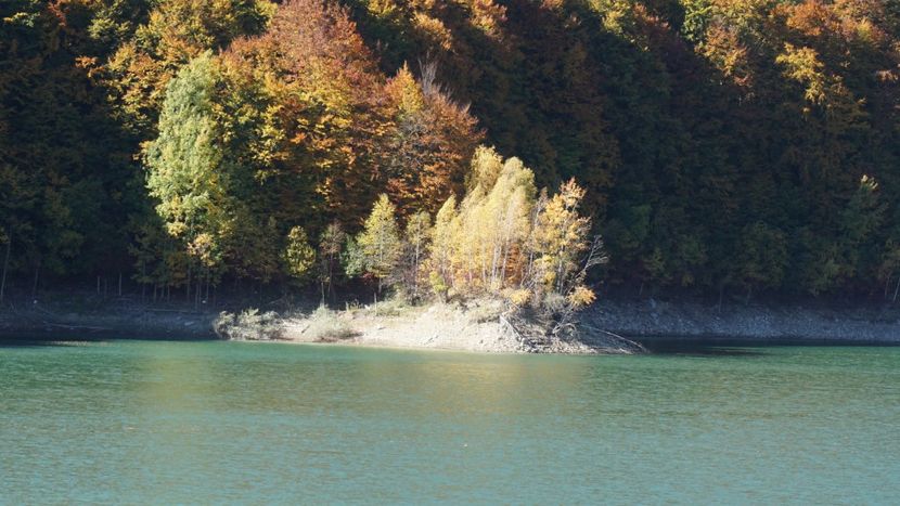  - 2018 14 octombrie 2018 baraj paltinu