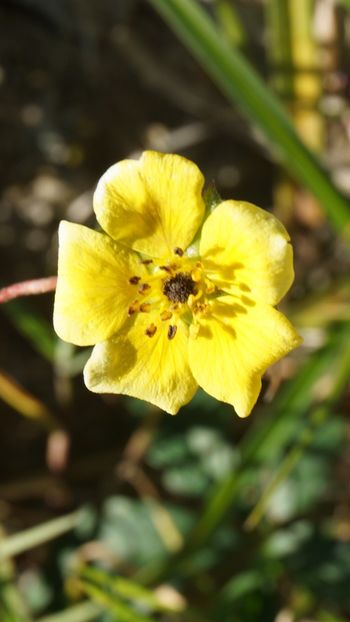  - 2018 14 octombrie 2018 baraj paltinu