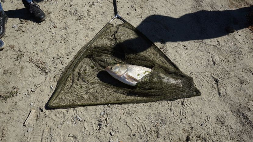  - 2018 14 octombrie 2018 baraj paltinu