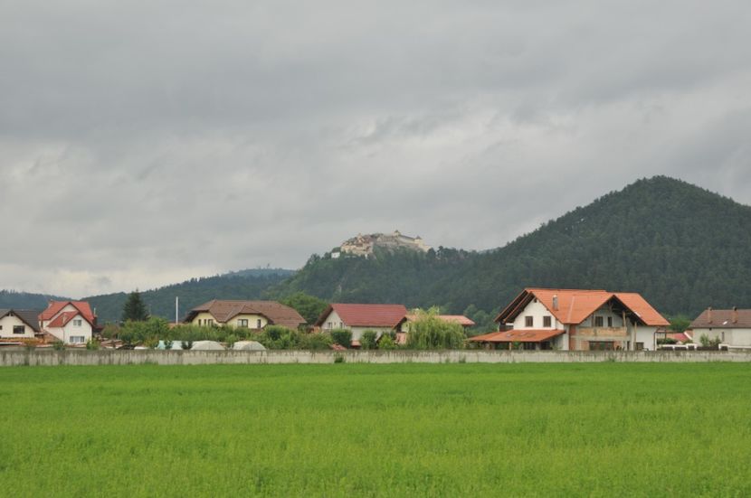  - 2018 DINO PARK SI PESTERA CETATII
