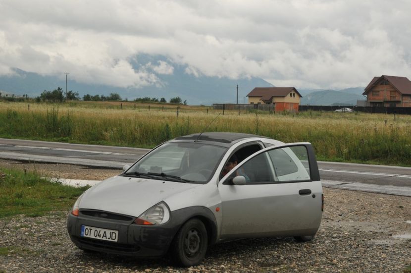  - 2018 DINO PARK SI PESTERA CETATII