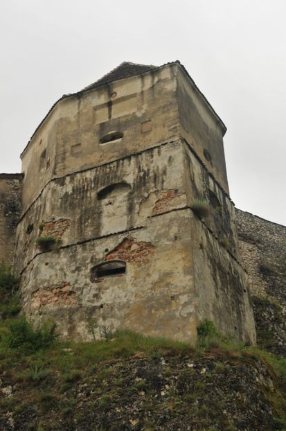  - 2018 DINO PARK SI PESTERA CETATII