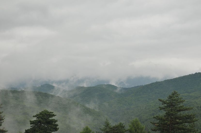  - 2018 DINO PARK SI PESTERA CETATII