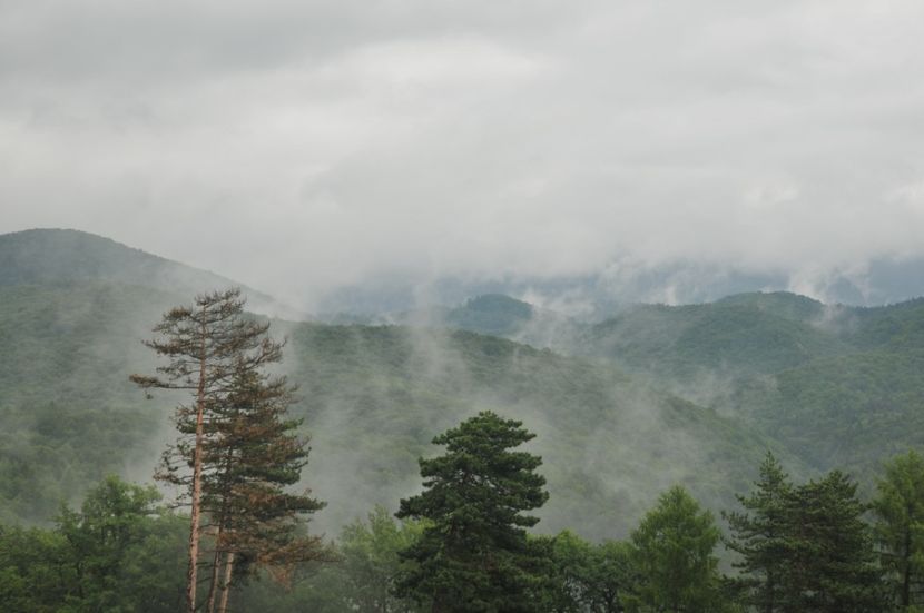  - 2018 DINO PARK SI PESTERA CETATII