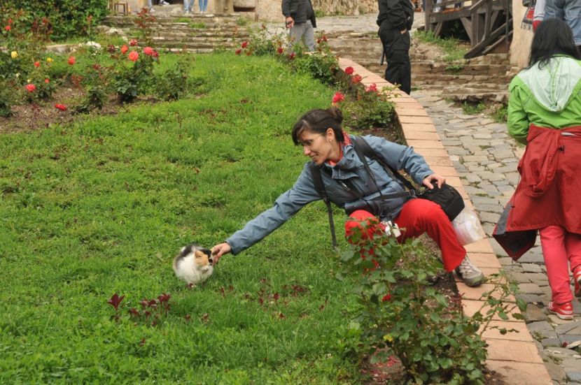  - 2018 DINO PARK SI PESTERA CETATII