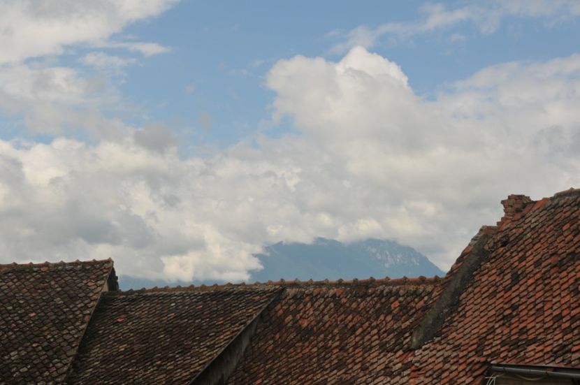  - 2018 DINO PARK SI PESTERA CETATII