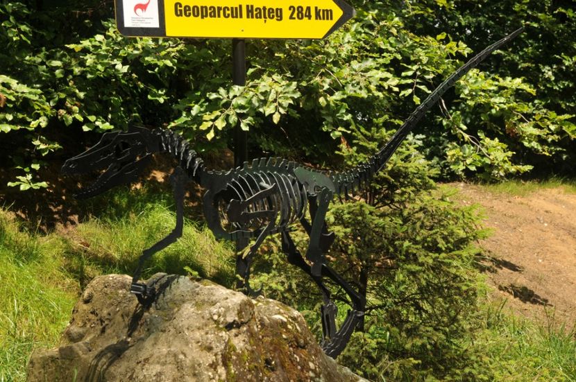  - 2018 DINO PARK SI PESTERA CETATII