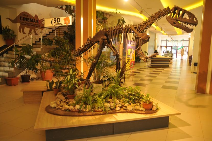  - 2018 DINO PARK SI PESTERA CETATII