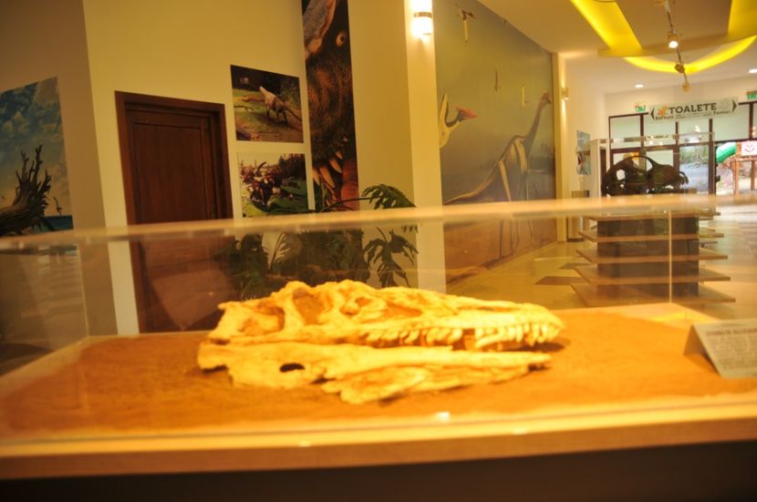  - 2018 DINO PARK SI PESTERA CETATII