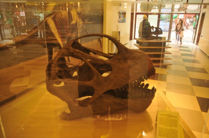  - 2018 DINO PARK SI PESTERA CETATII