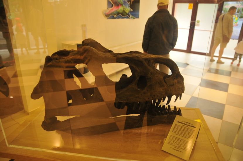  - 2018 DINO PARK SI PESTERA CETATII