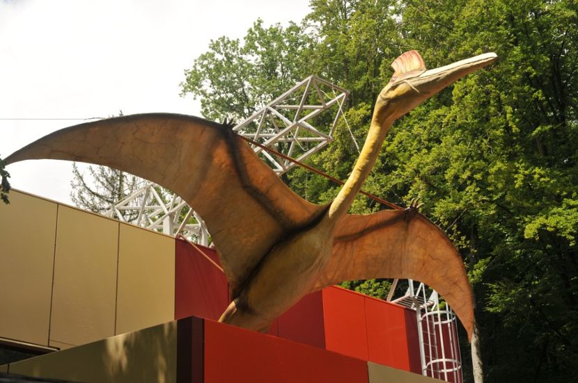  - 2018 DINO PARK SI PESTERA CETATII