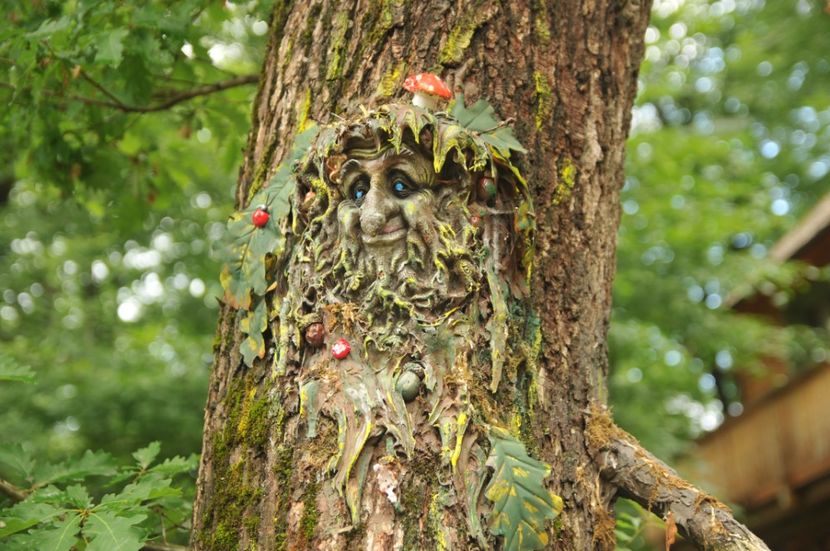  - 2018 DINO PARK SI PESTERA CETATII