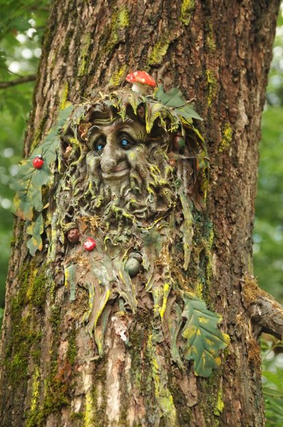  - 2018 DINO PARK SI PESTERA CETATII