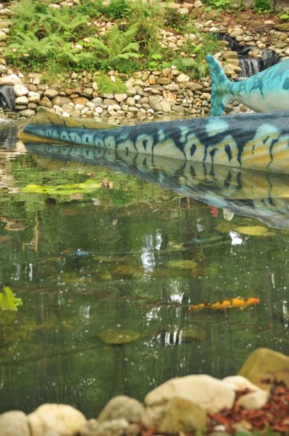  - 2018 DINO PARK SI PESTERA CETATII