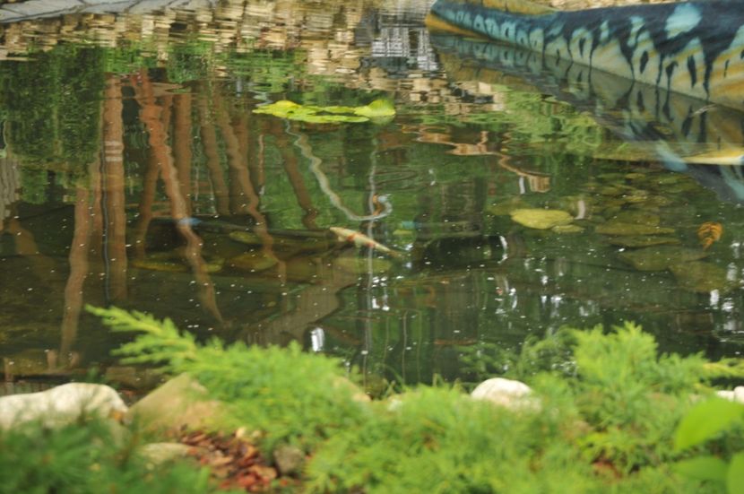  - 2018 DINO PARK SI PESTERA CETATII