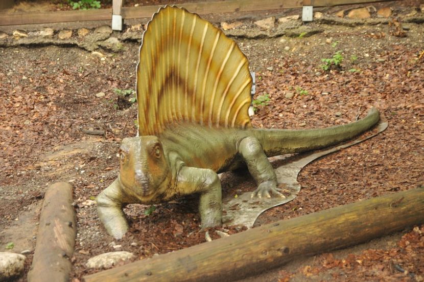  - 2018 DINO PARK SI PESTERA CETATII