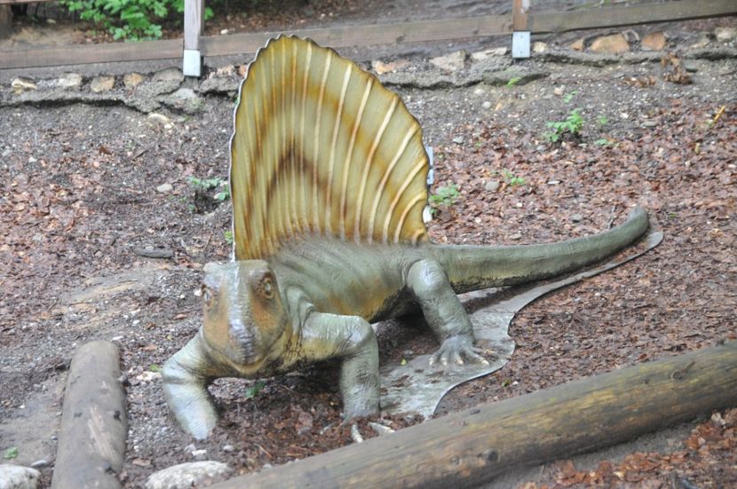  - 2018 DINO PARK SI PESTERA CETATII