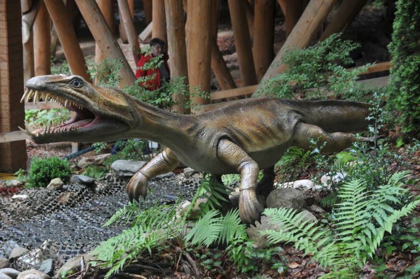  - 2018 DINO PARK SI PESTERA CETATII