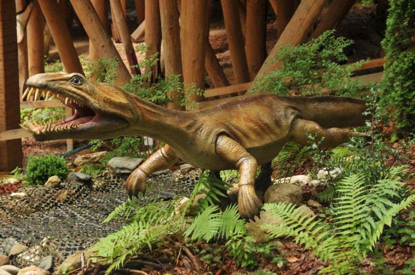  - 2018 DINO PARK SI PESTERA CETATII