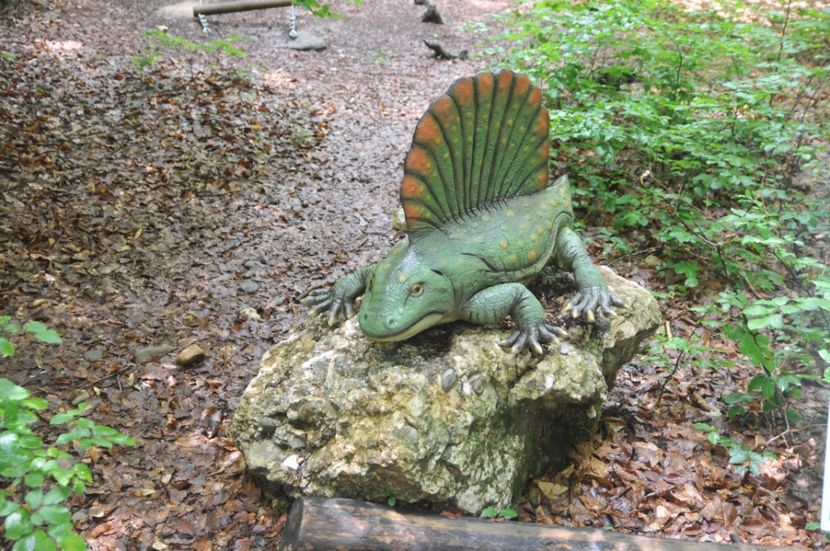  - 2018 DINO PARK SI PESTERA CETATII