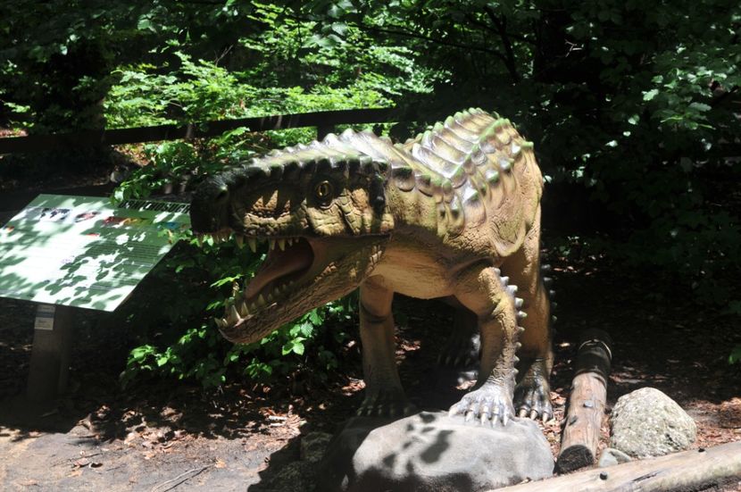  - 2018 DINO PARK SI PESTERA CETATII