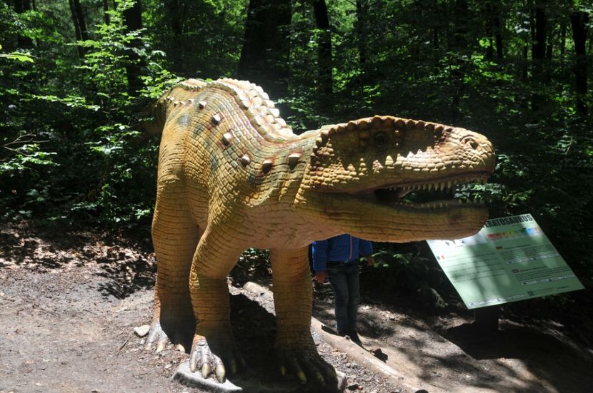  - 2018 DINO PARK SI PESTERA CETATII