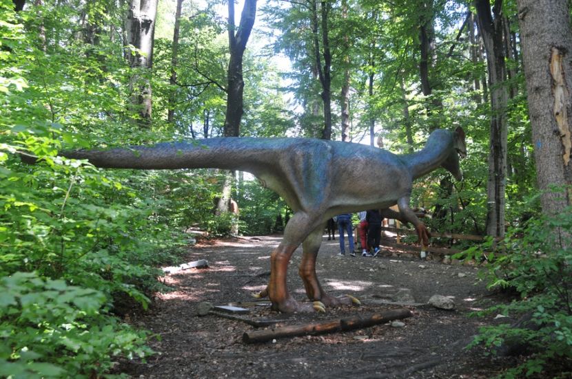  - 2018 DINO PARK SI PESTERA CETATII