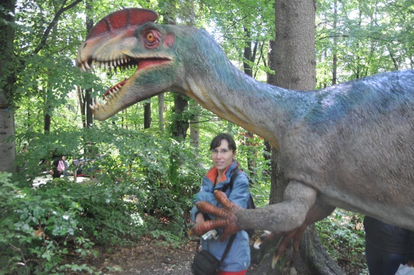  - 2018 DINO PARK SI PESTERA CETATII