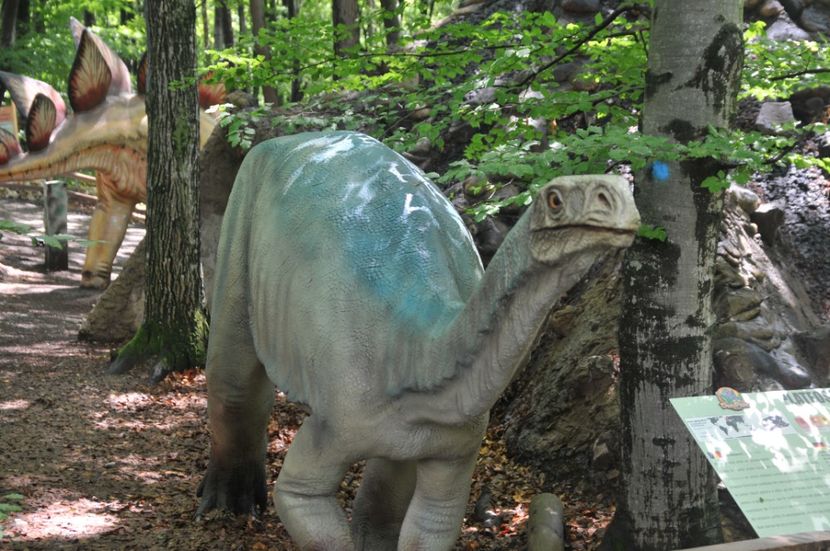  - 2018 DINO PARK SI PESTERA CETATII