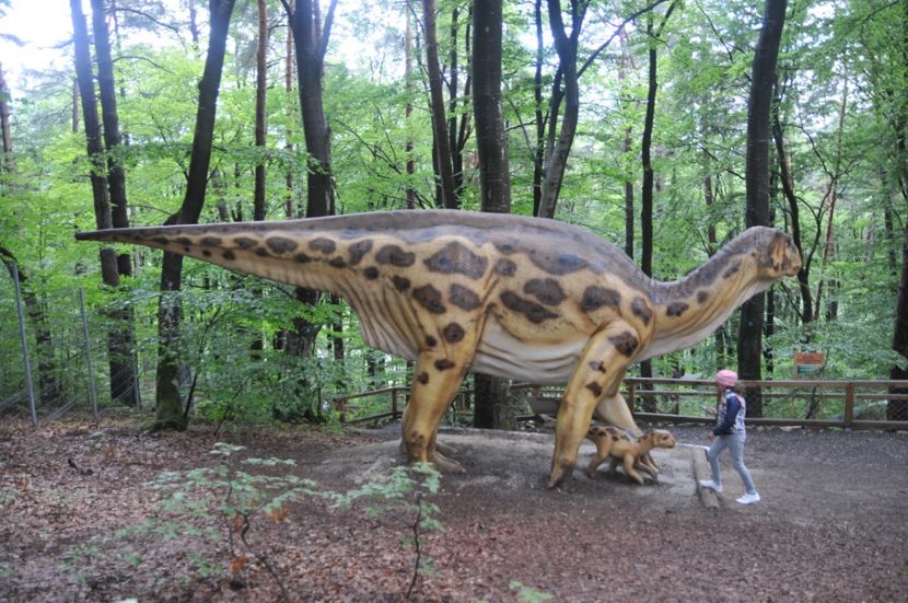  - 2018 DINO PARK SI PESTERA CETATII