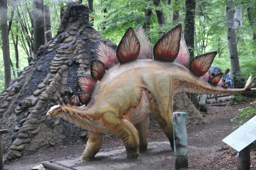 - 2018 DINO PARK SI PESTERA CETATII