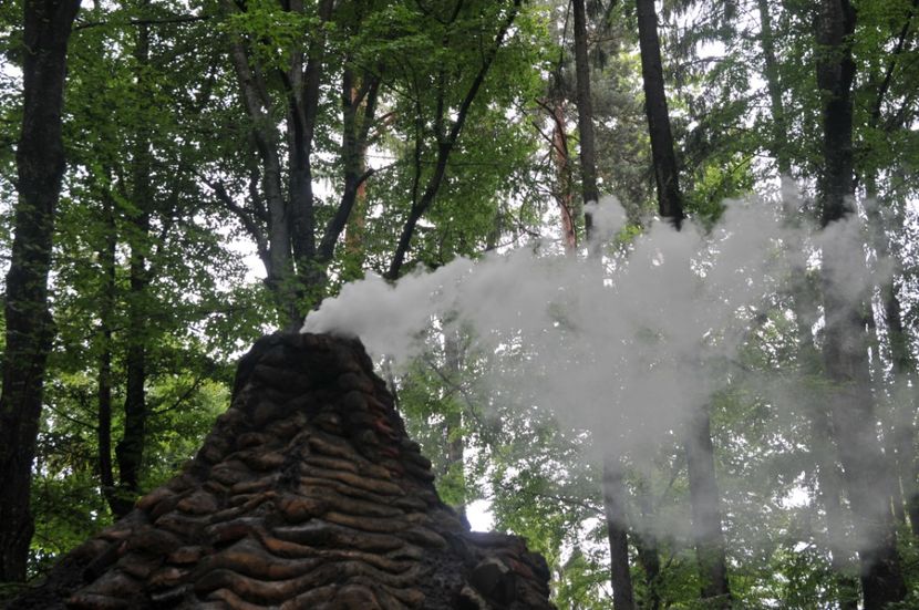  - 2018 DINO PARK SI PESTERA CETATII