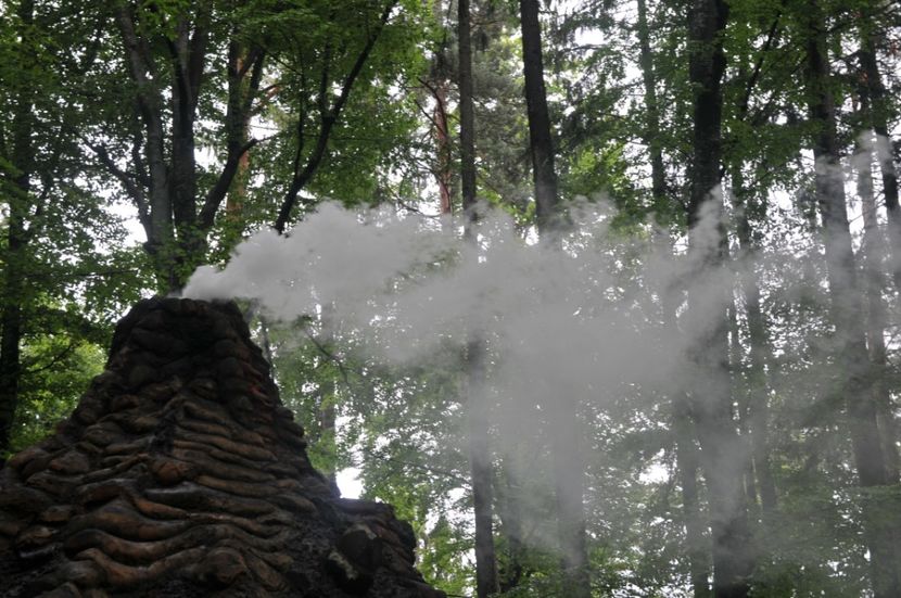  - 2018 DINO PARK SI PESTERA CETATII