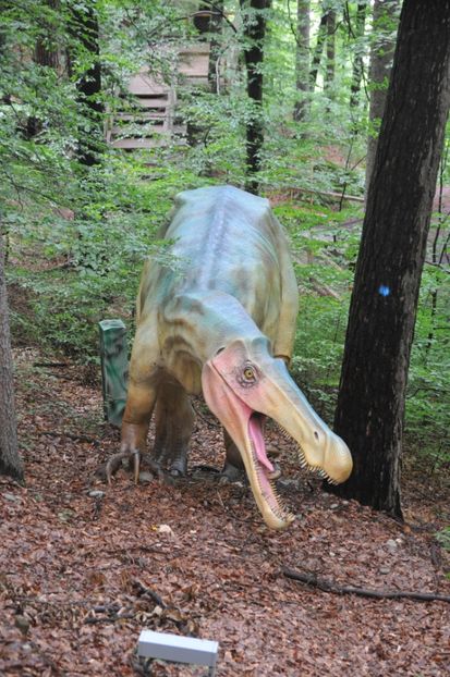  - 2018 DINO PARK SI PESTERA CETATII