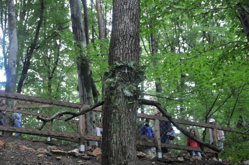  - 2018 DINO PARK SI PESTERA CETATII