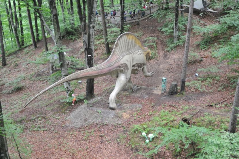  - 2018 DINO PARK SI PESTERA CETATII