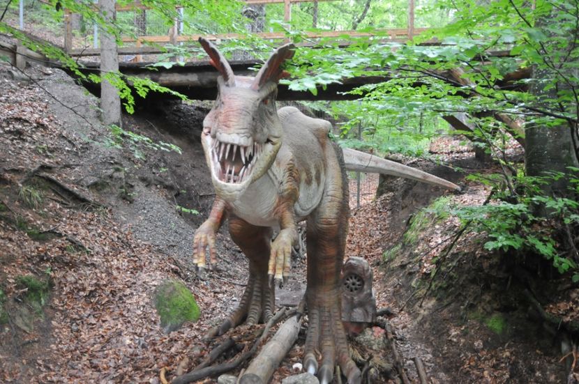  - 2018 DINO PARK SI PESTERA CETATII